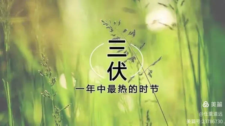 致敬三伏天奮戰(zhàn)一線的釀酒師